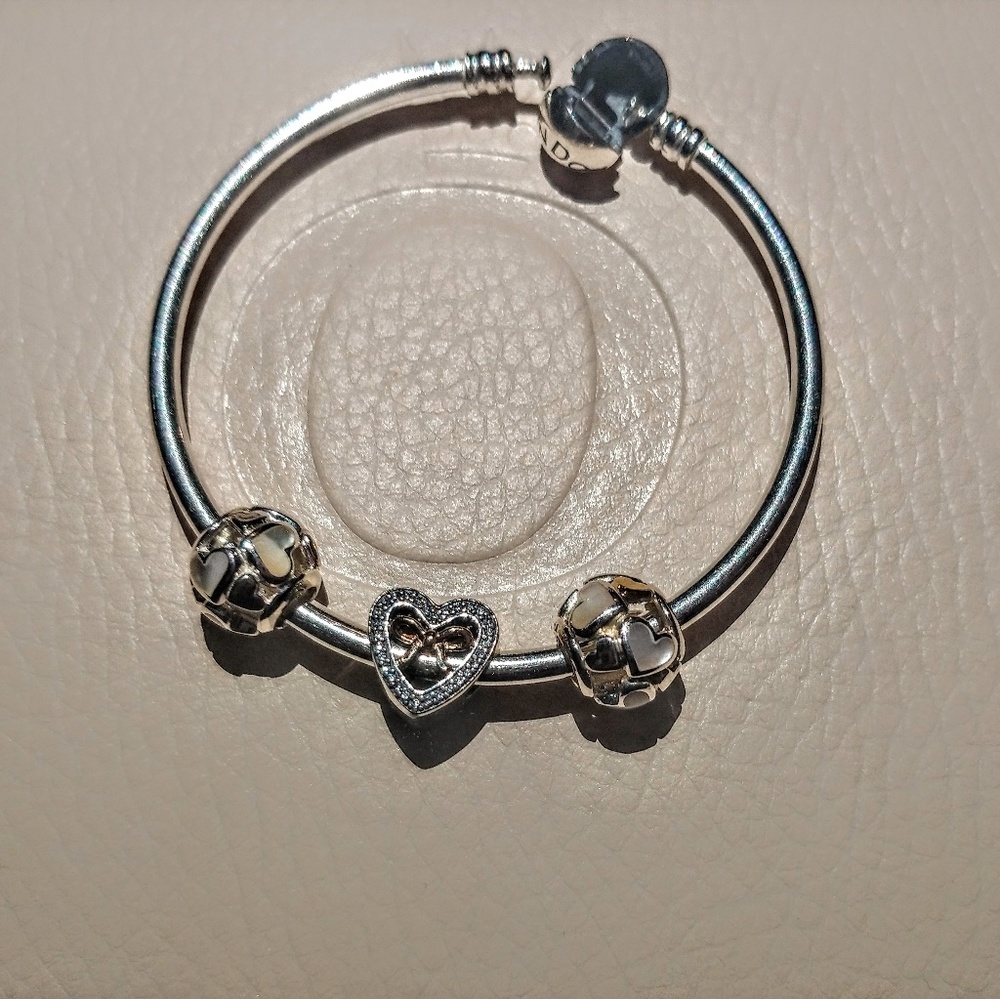 Pandora Charms!